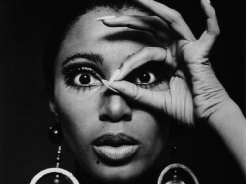 Fact 9: First Black&nbsp;Model