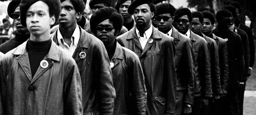 Fact 20: The Black Panther&nbsp;Party