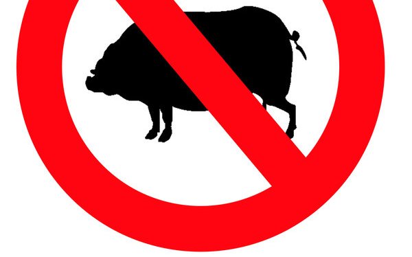 Blogging Challenge: Day 14: Healthy&nbsp;Habits